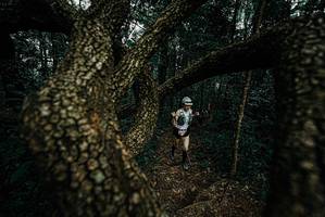 BIB: 
                            <button type="button" onclick="openModal(25699423)" class="btn btn-primary btn-sm float-right btn-popup" data-toggle="modal" data-target=".modal-high-quality">
                        <i class="fas fa-shopping-cart"></i> Add to Cart
                    </button>
                                            <button type="button" onclick="isThisMe(25699423, true)" class="btn btn-success btn-sm float-right btn-popup btn-isme hidden" data-toggle="tooltip" data-placement="bottom" title="นี่คือรูปของคุณใช่ไหม คลิกที่นี่เพื่อเอาเข้าอัลบั้ม">
                        <i class="fas fa-plus"></i> Add to album
                    </button>
                    <button type="button" onclick="isThisMe(25699423, false)" class="btn btn-warning btn-sm float-right btn-popup btn-isnotme hidden">
                        <i class="fas fa-ban"></i> Remove from album
                    </button>